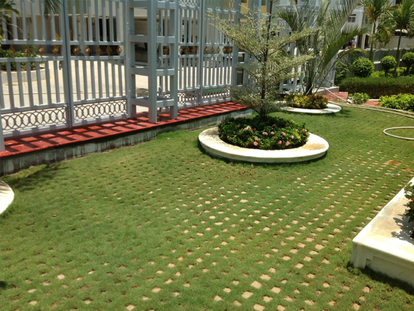 chennai garden management, chennai terrace gardens, chennai swimming pool designers, chennai swimming pool maintenance, chennai gardening,